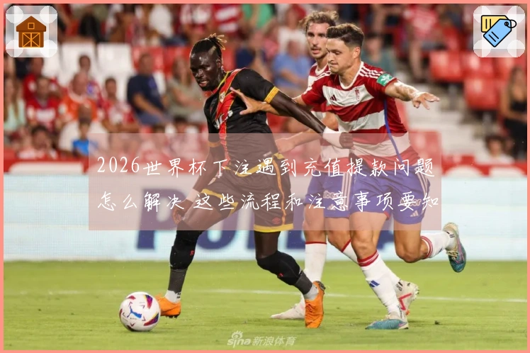 2026世界杯下注遇到充值提款问题怎么解决 这些流程和注意事项要知道