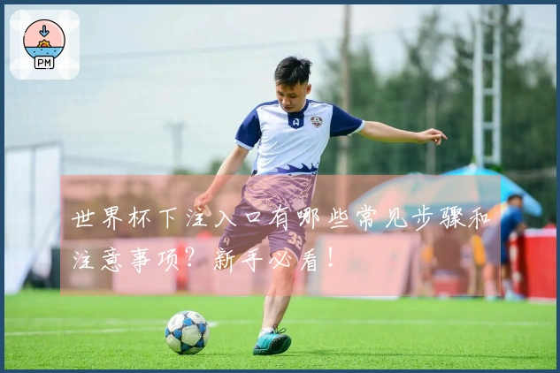 世界杯下注入口有哪些常见步骤和注意事项？新手必看！