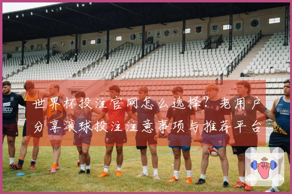 世界杯投注官网怎么选择？老用户分享滚球投注注意事项与推荐平台对比