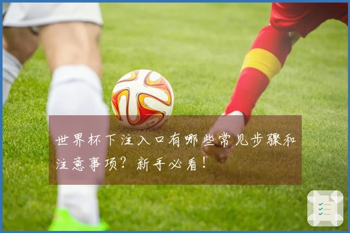 世界杯下注入口有哪些常见步骤和注意事项？新手必看！