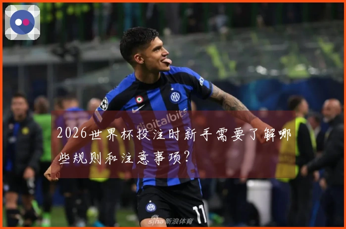 2026世界杯投注时新手需要了解哪些规则和注意事项？